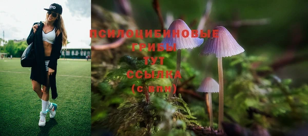прущая мука Куйбышев