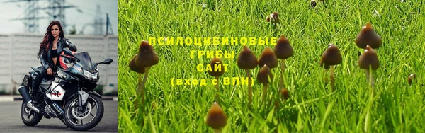 прущий лед Кукмор