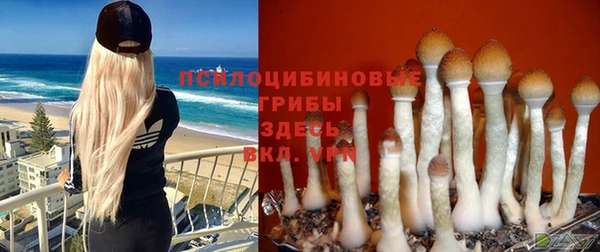 прущий лед Кукмор